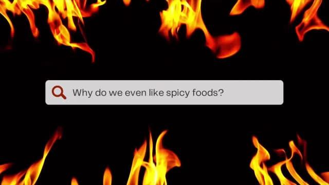 Preview of Spicy Pickle Psychology